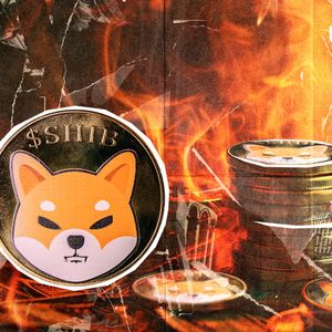 SHIB Burns Crash, Despite Market Turning Green