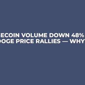 Dogecoin Volume Down 48% as DOGE Price Rallies — Why?