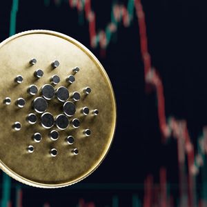 Cardano Critic Says ADA Is Poised to “Plummet Down”