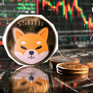 Shiba Inu (SHIB) Sees Intense Battle vs. TON and XRP Rival