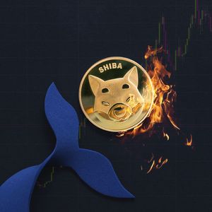 231.4 Billion SHIB Dumped by Top Whales As Burn Rate Spikes 506%