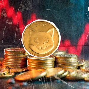 Shiba Inu (SHIB) Loses 92%: What Happened?