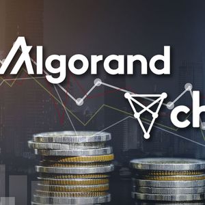 Here’s Why Chiliz and Algorand Suffered Losses in Latest Market Drop: Details