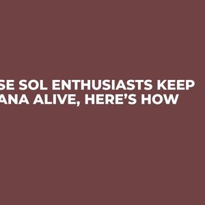 These SOL Enthusiasts Keep Solana Alive, Here’s How