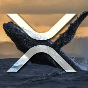 Hundreds of Millions of XRP Moved by Whales As Price Shows Bullish Setup