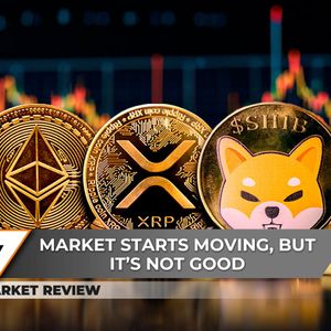 50% XRP Skyrocketing on Background: Bullish Reversal?