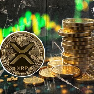 XRP Witnesses Abnormal 800% Network Explosion as Millionaires FOMO In
