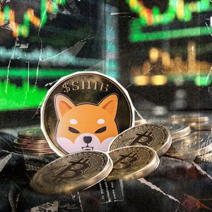 Shiba Inu (SHIB) Records 90% Crash Against Bitcoin: Time for Rebound?