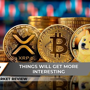 Dogecoin (DOGE): New Record, Bitcoin (BTC) Price Trapped Now, Here's When XRP Price Explodes