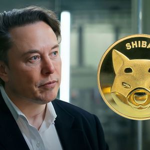 Shibburn Calls Elon Musk to Action, Here’s What It’s About