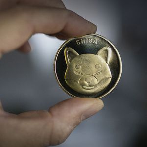 Shiba Inu Trifecta Now Supported by This Non-Custodial Wallet: Details