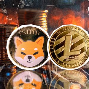 Shiba Inu (SHIB) Refuses to be Dethroned by Litecoin with $350 Million Advantage
