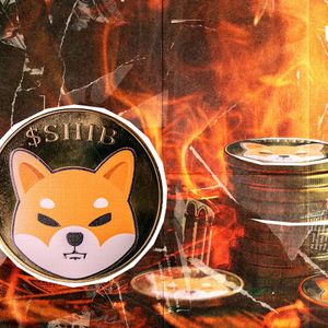 SHIB Burns Crash to Zero, But There's Silver Lining