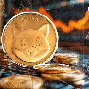 Shiba Inu Exchange Reserves Surge to $929 Million in 24 Hours