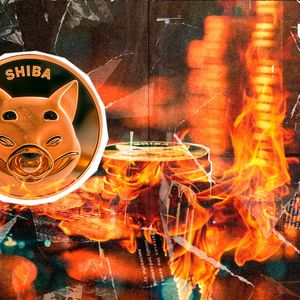 Shiba Inu Burn Rate Collapses 99%, But There's a Catch