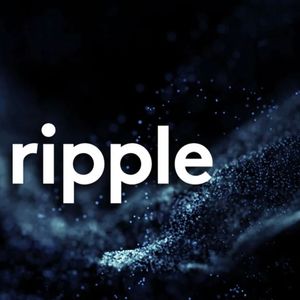 Ripple Doesn’t Technically Hold 38 Billion XRP Tokens, Leading Software Engineer Says