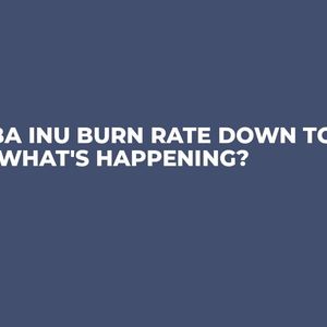 Shiba Inu Burn Rate Down to 0%, What's Happening?