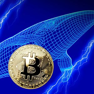 100,000 BTC Sold or Redistributed by Whales in Past 2 Days: Report