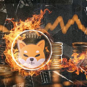Massive 1,338,380,740 SHIB Gets Burned, Here's What's Happening