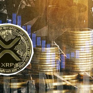 XRP Sees Surge of New Users: Crucial Signal