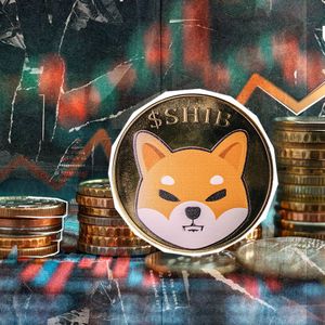 1,600,000 XRP in 24 Hours: Network Activity Screams Recovery
