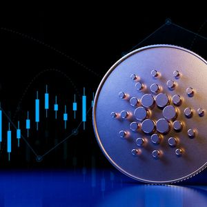Cardano Sees 90% Daily Increase In Active Addresses, Here's How It Affects Price