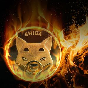 SHIB Burn Rate Jumps 252% on Exciting Ecosystem Developments