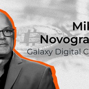 'This Won’t End Well': Novogratz Calls for Buying Bitcoin