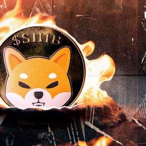 Shiba Inu Burn Rate Skyrockets 10,786%: Big Price Movement Ahead?