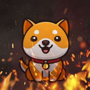 Here’s How Massive Amount of BabyDoge Can Be Burned: Details