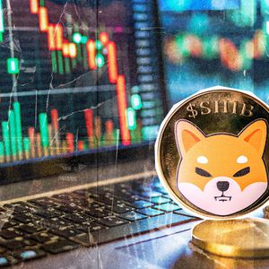1,660,000,000,000 SHIB in 24 Hours: Volatility on Verge of Exploding