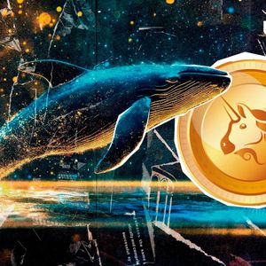 Uniswap (UNI) Whale Transactions Rockets 1,713%, How Price Reacts?