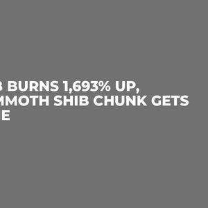 SHIB Burns 1,693% Up, Mammoth SHIB Chunk Gets Gone