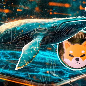 120,000,000,000,000 Shiba Inu (SHIB): Whales Are Taking Full Control
