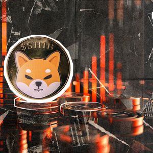 95% Shiba Inu (SHIB) Drop: What Just Happened?