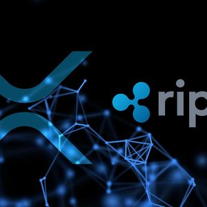 Are XRP & XRPL Centralized? Ripple Executives Argue