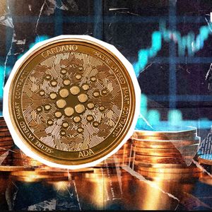 Did Someone Really Pay $3.7 Million Cardano (ADA) Fee?