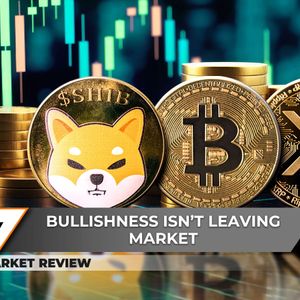 Shiba Inu (SHIB): Fundamental Shift, XRP Sky Is Not Limit Now, Bitcoin (BTC) Price Cools Down