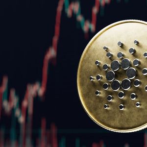 Cardano Blockchain Insights Reveal Abnormal Increase In This Metric: Details