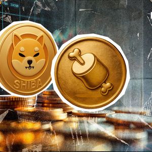 Big BONE 'Secret' Revealed by SHIB Team