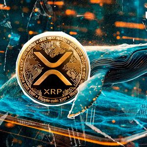 Mysterious Whale Opens 5,175,112 XRP Long - Liquidation Price is Brutal