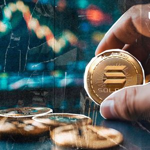 Solana Co-Founder Lambasts Meme Coins, Faces Backlash