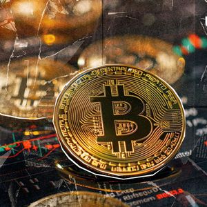 Solo Bitcoin Miner Beats the Odds to Mine Entire Block