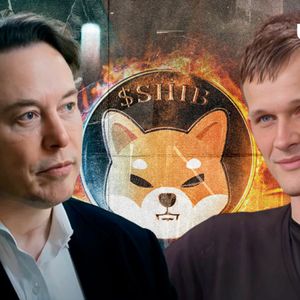 SHIB Army Urges Elon Musk to Burn SHIB, Just Like Vitalik Buterin