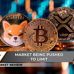Shiba Inu (SHIB) Bears Got Destroyed, Bitcoin (BTC) Price Squeeze is Next, This is XRP's Chance
