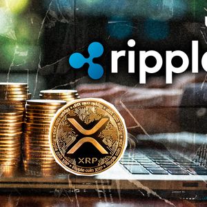 RippleX Dev: "Nothing Will Happen to Your XRP"
