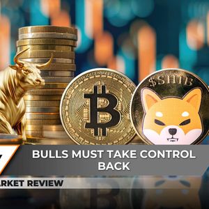 Bitcoin (BTC) $112,000 is Fundamental, Shiba Inu (SHIB): Not Adding Zero? Ethereum (ETH) Massive Chance For $4,000