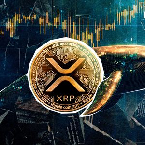 Whale Who Bet Against XRP Liquidated