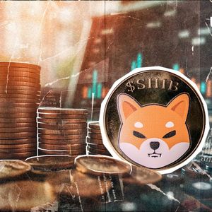 The Only Winning Strategy for Crypto Investors Revealed by Top SHIB Executive