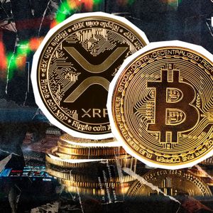 XRP and Bitcoin Will be Completely Identical, Lead Contributor Explains How